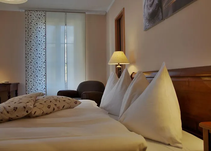 Мини-отель Les Chevreuils Лозанна