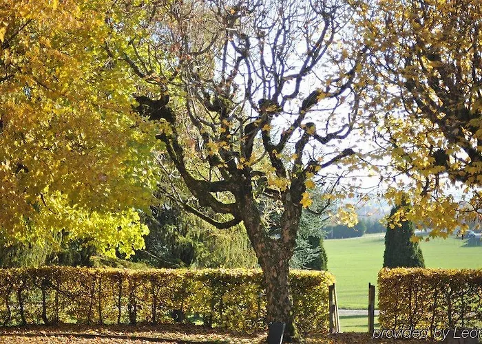 Les Chevreuils Лозанна